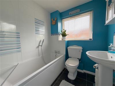 Picture 12